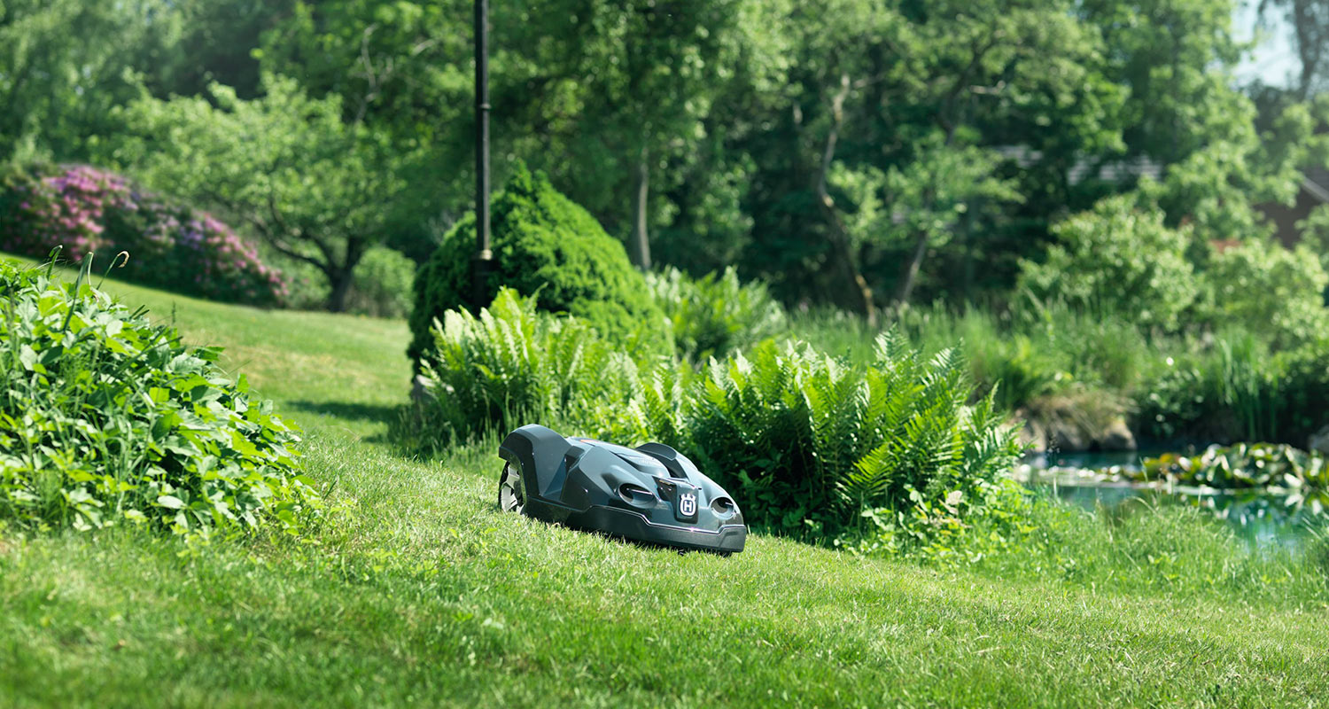 automover_9-1500x700.jpg